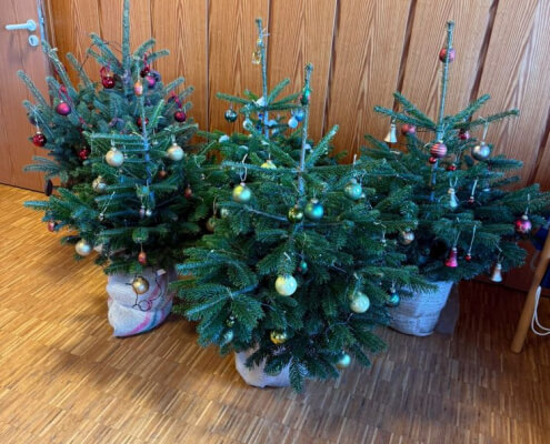 cca24483-de33-4ecf-90f4-b08378deb9ff